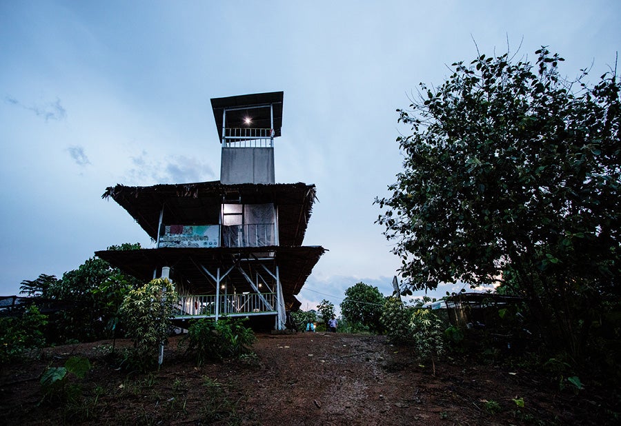 Palm oil plantation lookout