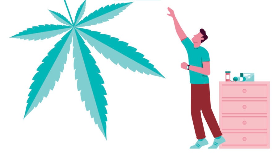 illustration man reaching for cannabis leaf