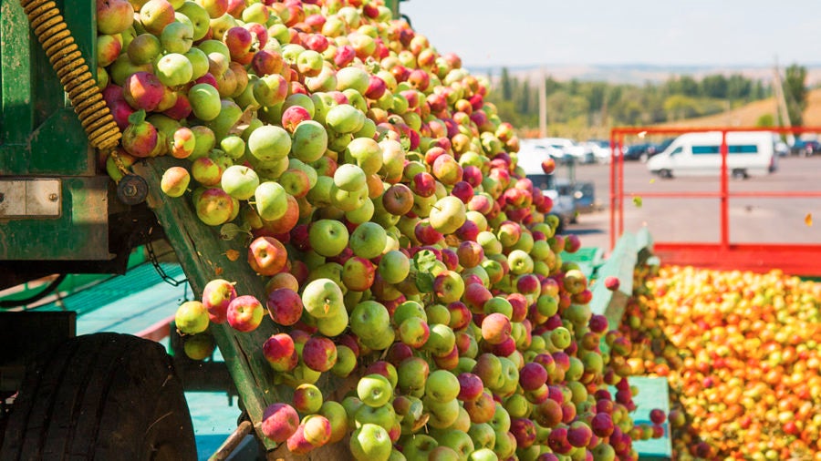 Carbon footprint food