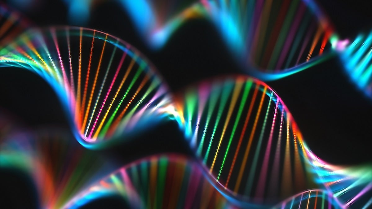 DNA (deoxyribonucleic acid) molecules, computer illustration.