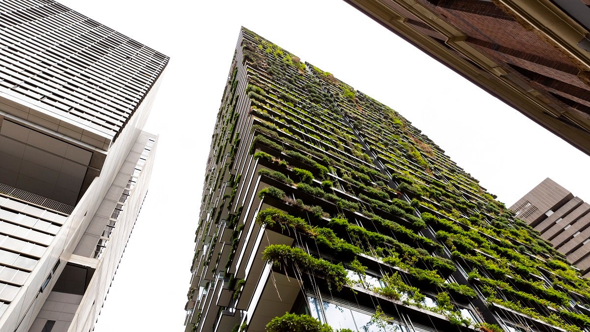 how-the-government-could-boost-green-building