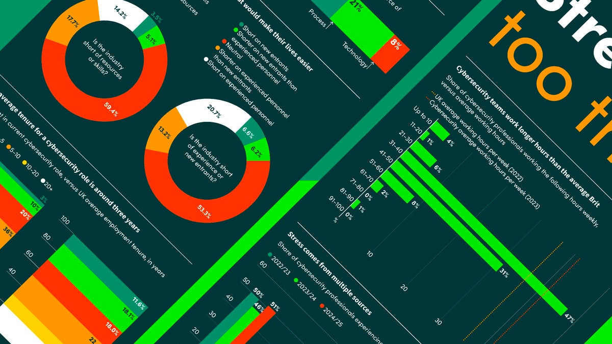 A display of various chart from the cybersecurity infographic